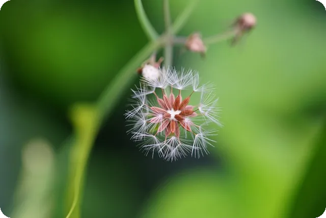 감자심는방법 언제가 좋을까