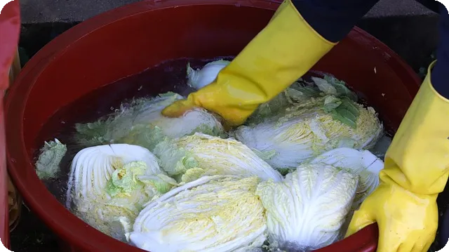 미나리무침 오랜 비법 공개