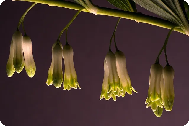 살로몬 XT-6 러닝화로 스타일과 성능을 동시에