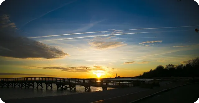 임대차계약서 발급 비법과 절차 알아보기