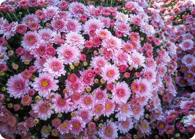 청년수당 마지막달에 대하여 알아야 할 모든 것