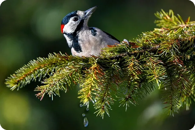 라테라스 한남, 명품 빌라의 매력이란?