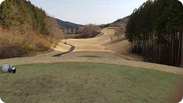 산불 골프녀 영상 논란, 그 배경은?
