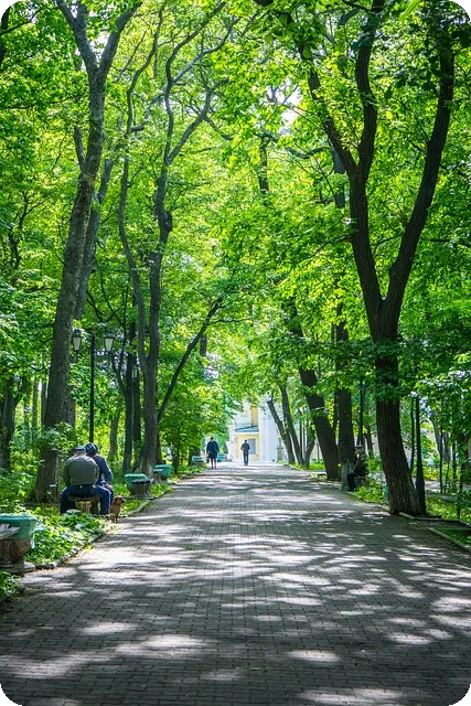 잔치국수 레시피로 담백한 맛 완성하기