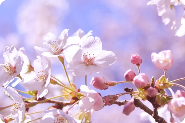 사계의 봄 사계 등가 인물과 스토리 살펴보기